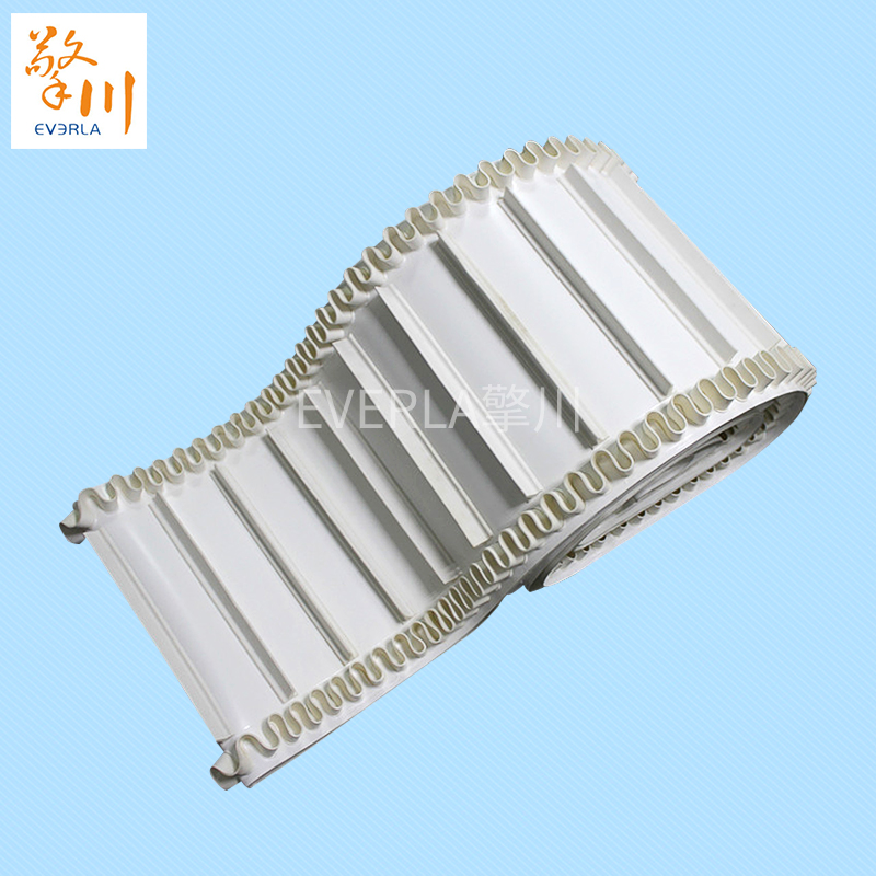 裙邊加擋板PU<a href='http://m.ontimecarpet.com/shusongdai/' target='_blank'><u>輸送帶</u></a>