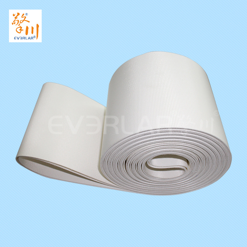 食品皮帶<a href='http://m.ontimecarpet.com/shusongdai/' target='_blank'><u>輸送帶</u></a>